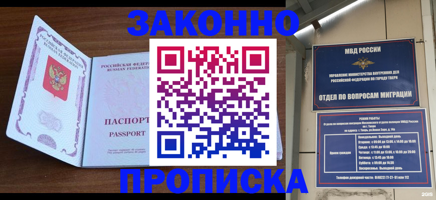 прописка поиск в Павловске